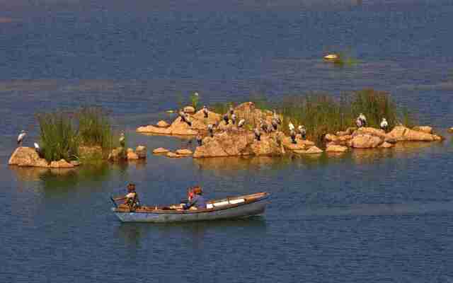 Pugdundee safaris- Ken river lodge Panna Lodging house