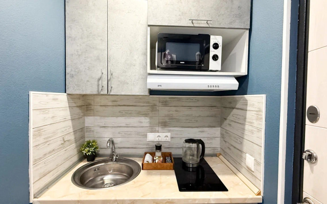 U Metro Varshavskaya Sk11 Apartments