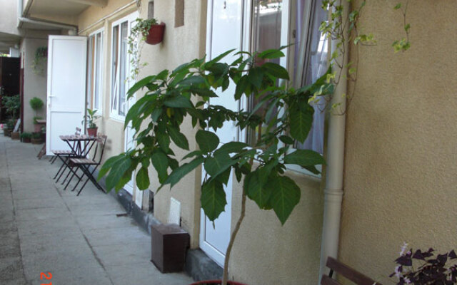 Alyans Guest House