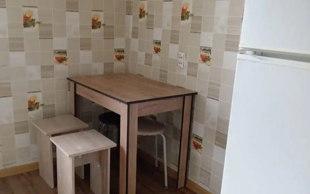 Odnokomnatnyie Ekonom Apartments