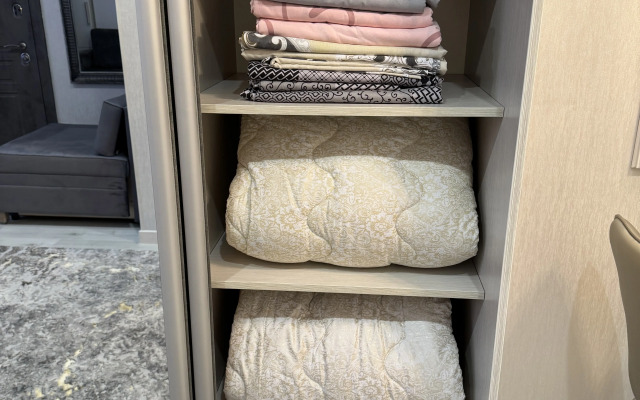 Bolshaya Studiya V Tsentre Flat