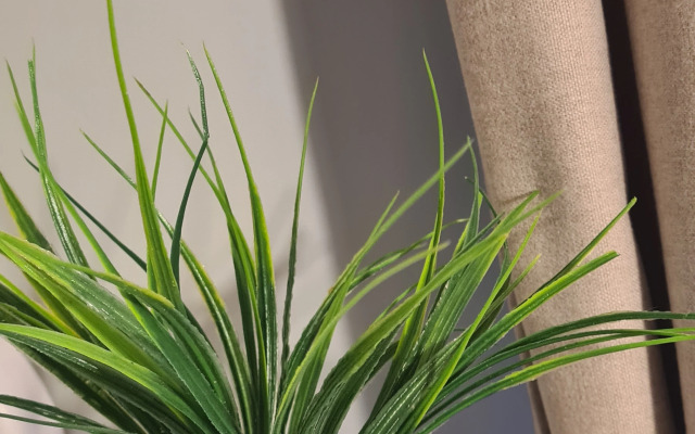 Квартира Уютная в ЖК с фонтаном у моря