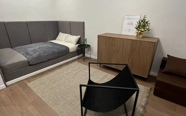 Квартира Театральная на площади Волкова