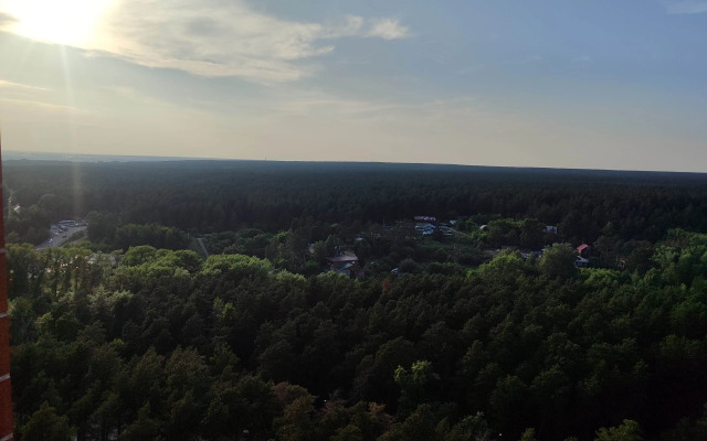 Квартира Уютная в сосновом бору