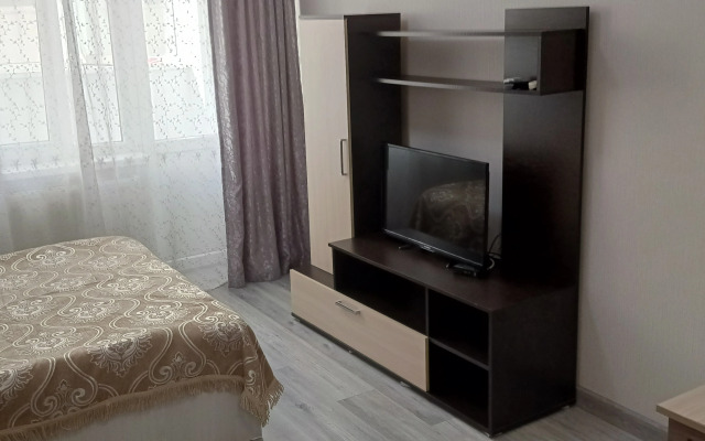 Na Vinogradnoy 22/1B Apartments