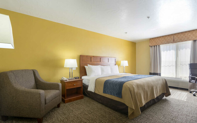 Comfort Inn & Suites Hotel