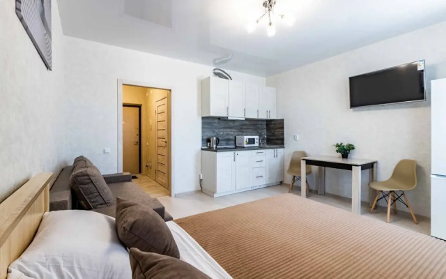 Апартаменты DreamHouse ЖК Vectori 1