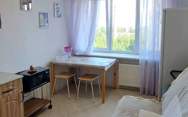 Sovremennaya Flat