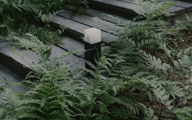 Lesnoy Voskhod Chalet