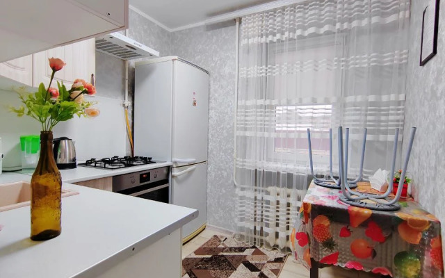 Tsentr Apart Apartments