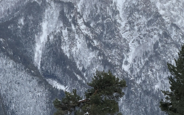 Шале Премиум Зарево 1