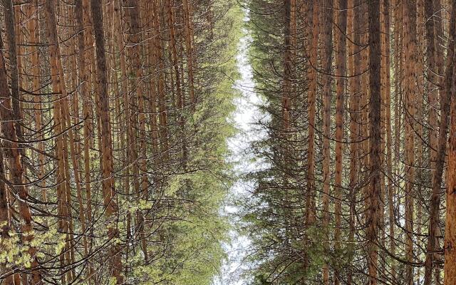 База отдыха Восток