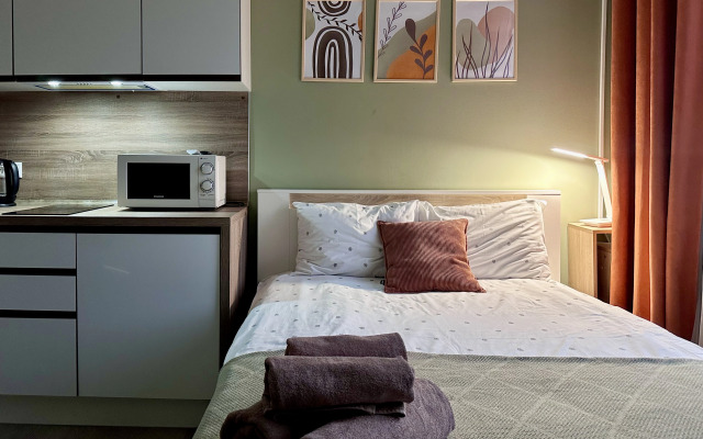 Квартира стильная у метро Бауманская