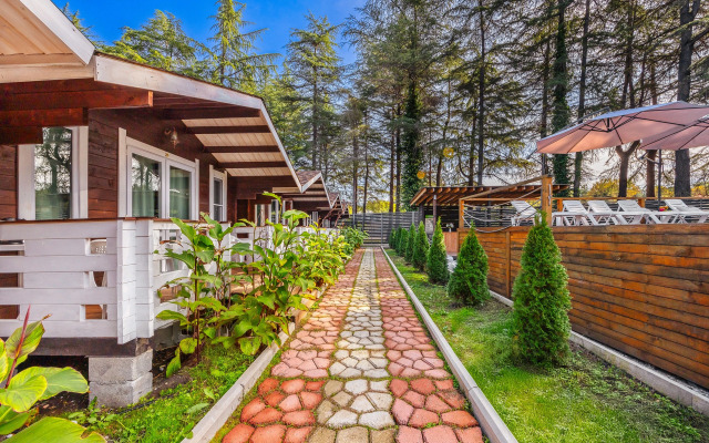 Hotel Eco House Pitiunt Resort