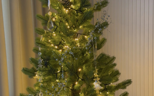 Квартира Baltic Home