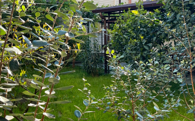 Chastny Kottedzh u reki Private house