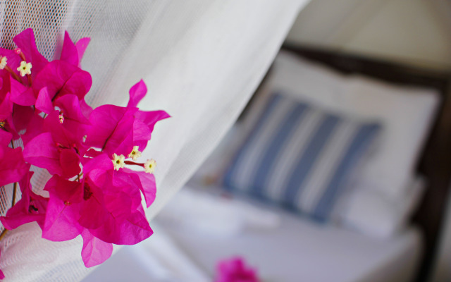 Aya Beach Bungalows Hotel