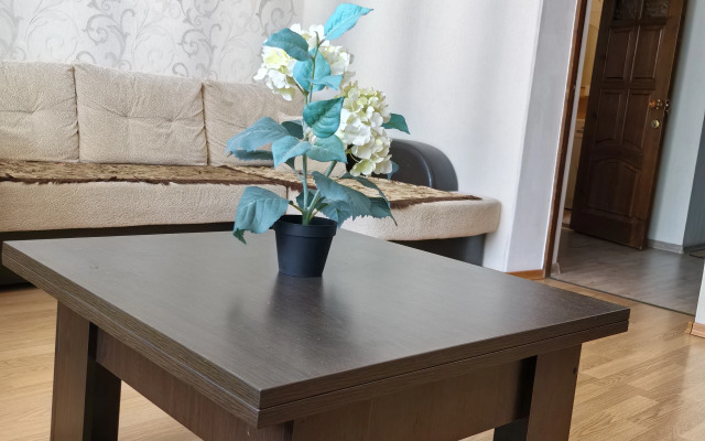 Апартаменты Квартира по Улице Чкалова 18-1