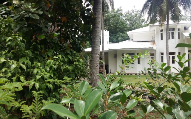 Wasaba Jayasekera Guest House
