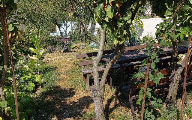 Zelyonaya Gora Guest house