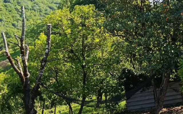 Gostevoy Dom Otdykh U Ashota I Dzhulyetty