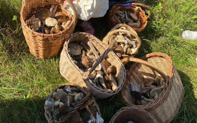 Частный Дом на 8 Человек Kлёвое Mесто