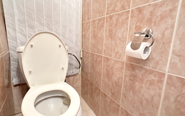 Uyutnye V Samom Serdtse Goroda Apartments