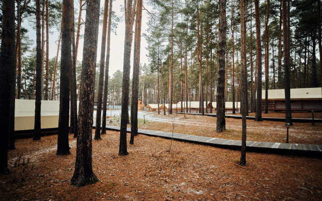 База Отдыха Сны Леса