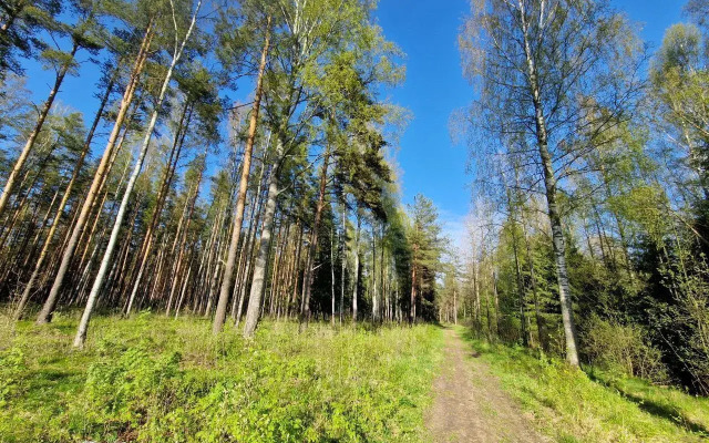 Частный дом в КП Крокусы 4