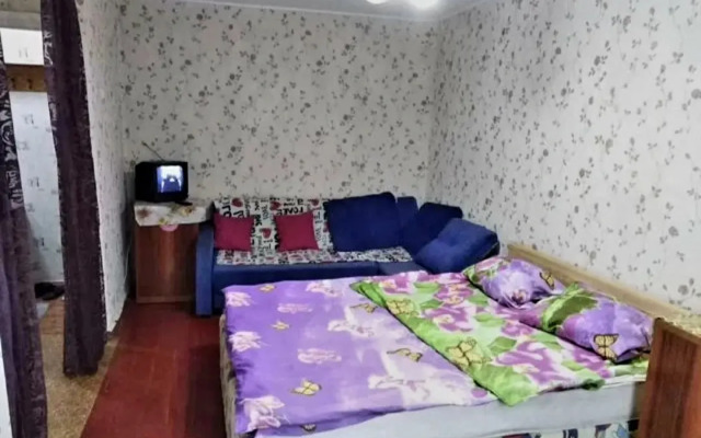 Квартира Бабушкин Вариант