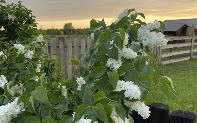 Шале Ромашки