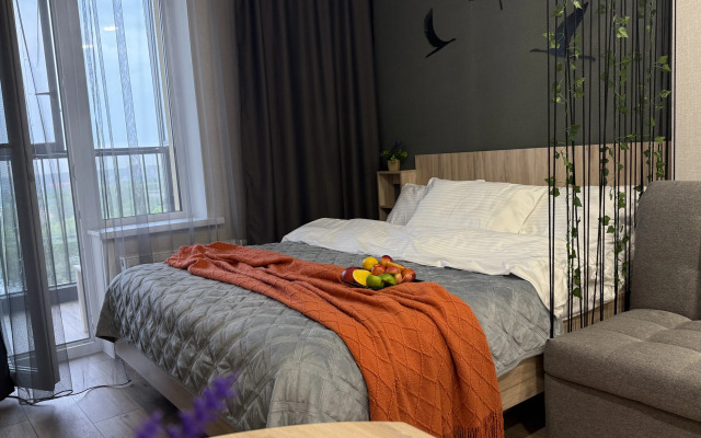 Квартира студия на улице Аэропорт 55/1