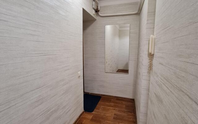 V tsentre na pereulke Buyanova 4 Apartments