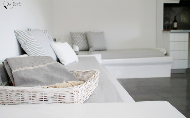 Ow Andros Luxury Suites Villa