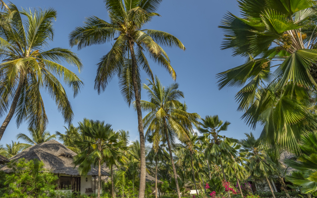 The Palms Zanzibar - All Inclusive