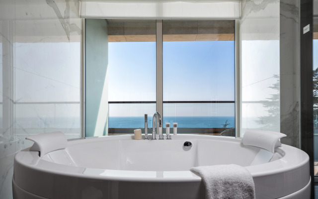 Отель Swissôtel Resort Sochi Kamelia