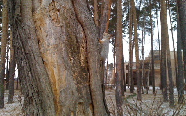 Загородный гостиничный комплекс Серебряный бор
