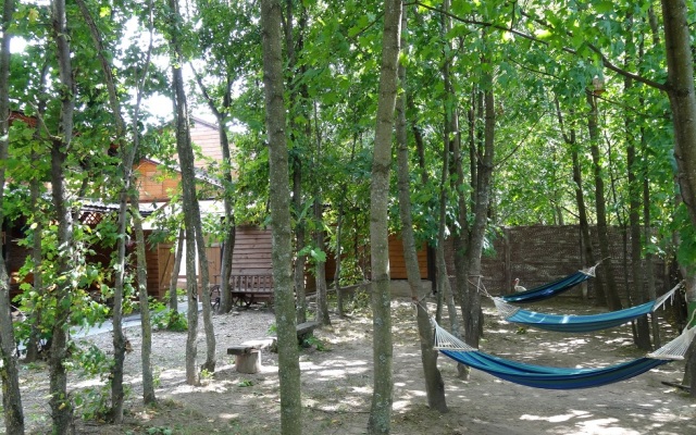 AgriHotel Amber-1