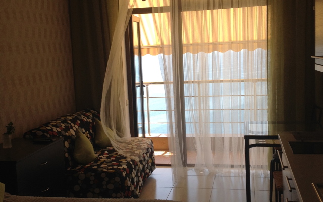 Апартаменты Премьера 1