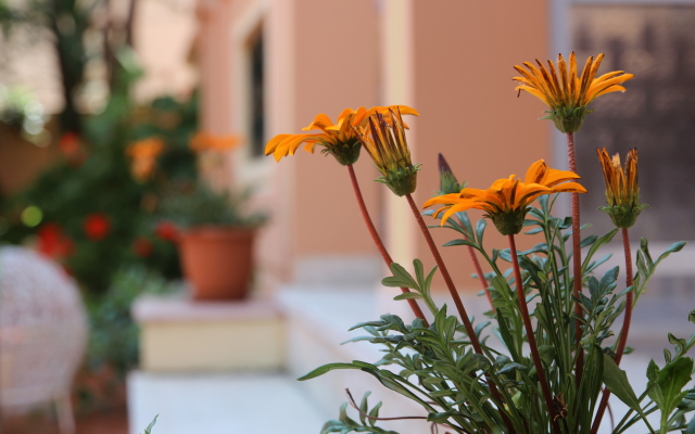 Sevach Apartments
