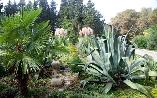 Crystal Sanatorium
