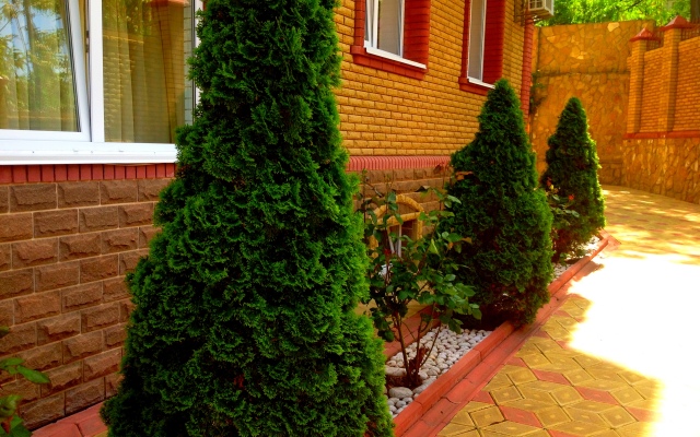 Favorit Guest House