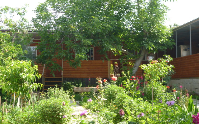 Guest House Tolstyachok