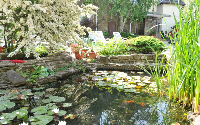 Oasis Hotel