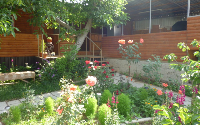 Guest House Tolstyachok