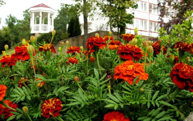 Molniya Sanatorium