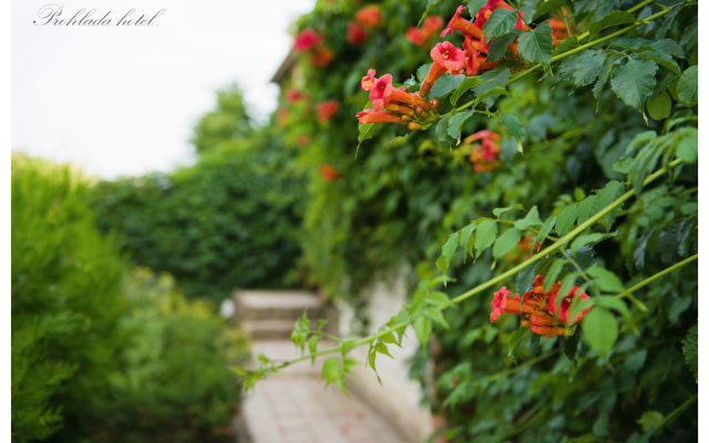 Prohlada Green Guest House