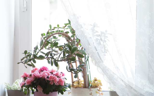 Хостел Baikal Story