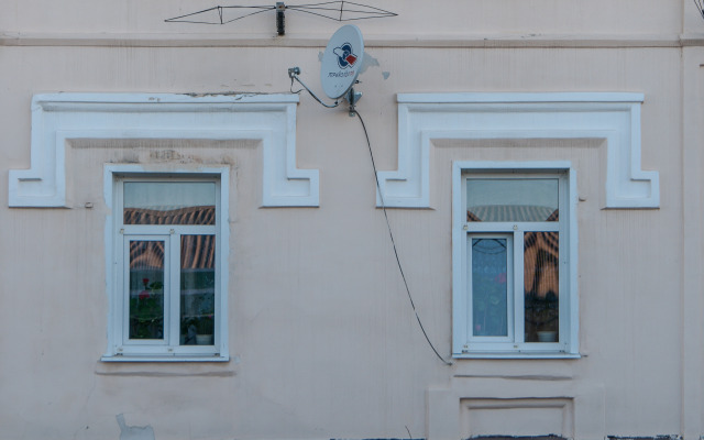 Базилик Чаплыгин