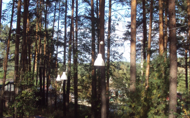 Lesnaya Polyana